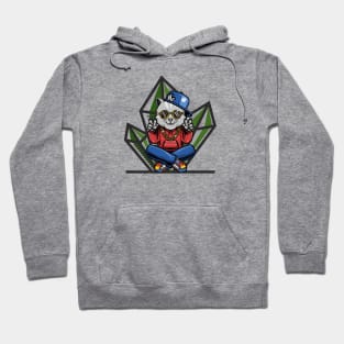 Cool Street Cats Hoodie